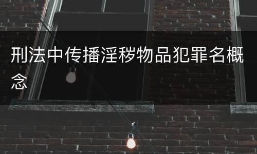 刑法中传播淫秽物品犯罪名概念