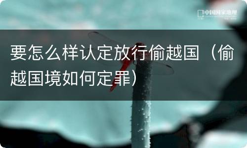要怎么样认定放行偷越国（偷越国境如何定罪）