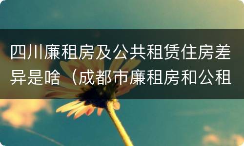 四川廉租房及公共租赁住房差异是啥（成都市廉租房和公租房的区别）