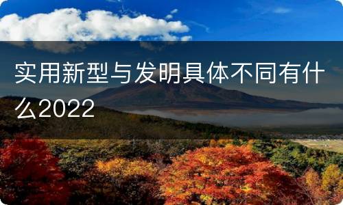 实用新型与发明具体不同有什么2022