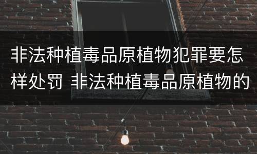 非法种植毒品原植物犯罪要怎样处罚 非法种植毒品原植物的处罚