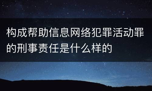 构成帮助信息网络犯罪活动罪的刑事责任是什么样的