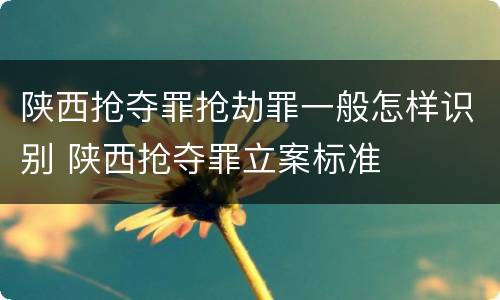 陕西抢夺罪抢劫罪一般怎样识别 陕西抢夺罪立案标准