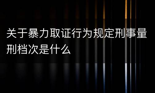 关于暴力取证行为规定刑事量刑档次是什么