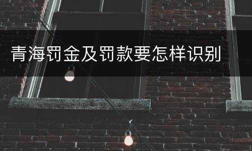 青海罚金及罚款要怎样识别