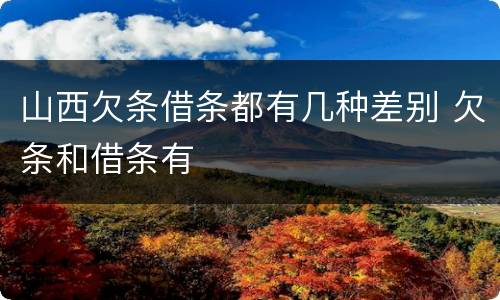 山西欠条借条都有几种差别 欠条和借条有