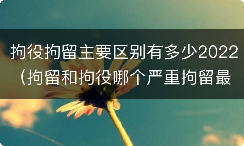 拘役拘留主要区别有多少2022（拘留和拘役哪个严重拘留最多多少天）