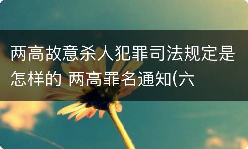 两高故意杀人犯罪司法规定是怎样的 两高罪名通知(六