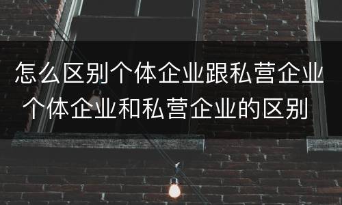 怎么区别个体企业跟私营企业 个体企业和私营企业的区别
