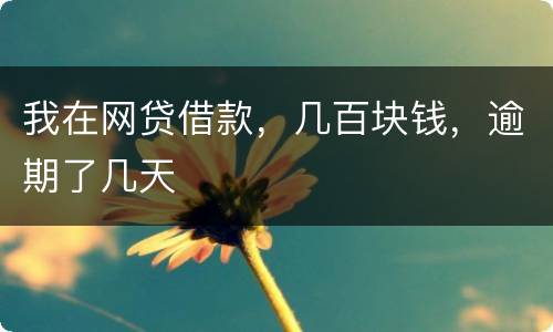 我在网贷借款，几百块钱，逾期了几天