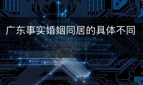 广东事实婚姻同居的具体不同