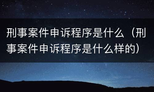 刑事案件申诉程序是什么（刑事案件申诉程序是什么样的）