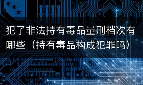 犯了非法持有毒品量刑档次有哪些（持有毒品构成犯罪吗）