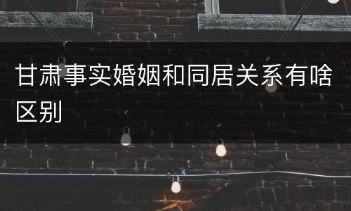 甘肃事实婚姻和同居关系有啥区别