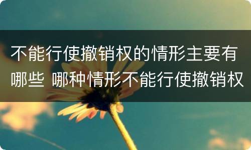不能行使撤销权的情形主要有哪些 哪种情形不能行使撤销权