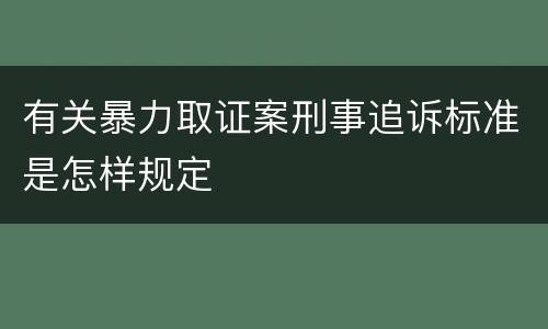 有关暴力取证案刑事追诉标准是怎样规定