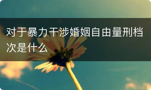 对于暴力干涉婚姻自由量刑档次是什么