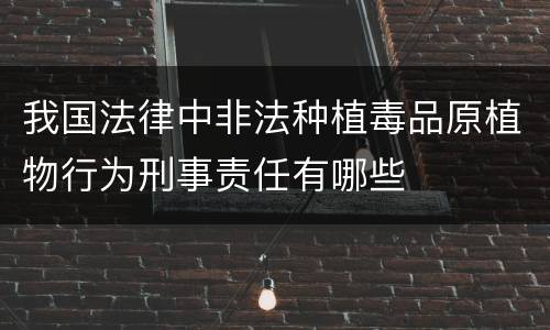 我国法律中非法种植毒品原植物行为刑事责任有哪些