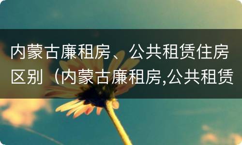 内蒙古廉租房、公共租赁住房区别（内蒙古廉租房,公共租赁住房区别是什么）