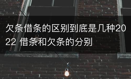 欠条借条的区别到底是几种2022 借条和欠条的分别
