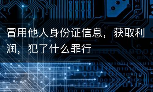 冒用他人身份证信息，获取利润，犯了什么罪行