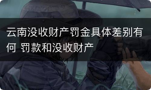 云南没收财产罚金具体差别有何 罚款和没收财产