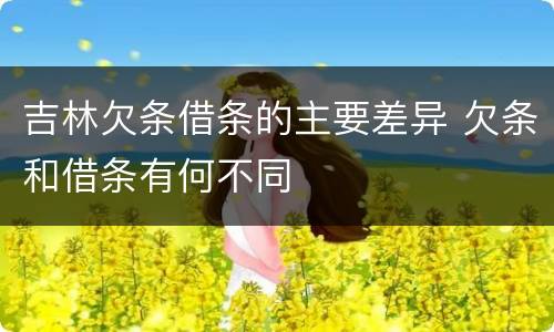 吉林欠条借条的主要差异 欠条和借条有何不同