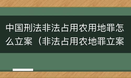 中国刑法非法占用农用地罪怎么立案（非法占用农地罪立案标准）