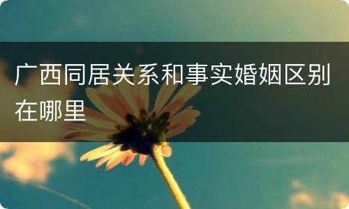 广西同居关系和事实婚姻区别在哪里