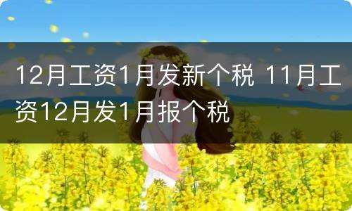 12月工资1月发新个税 11月工资12月发1月报个税