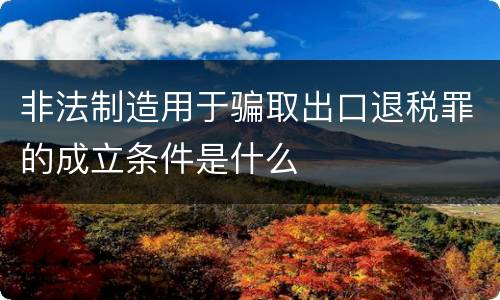 非法制造用于骗取出口退税罪的成立条件是什么