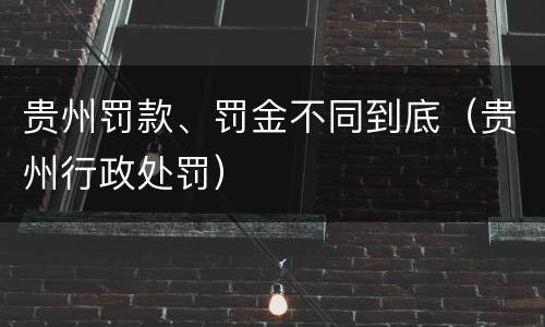 贵州罚款、罚金不同到底（贵州行政处罚）