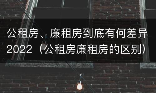 公租房、廉租房到底有何差异2022（公租房廉租房的区别）