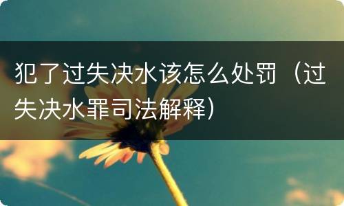 犯了过失决水该怎么处罚（过失决水罪司法解释）