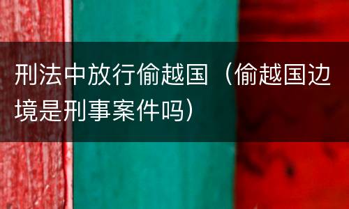 刑法中放行偷越国（偷越国边境是刑事案件吗）