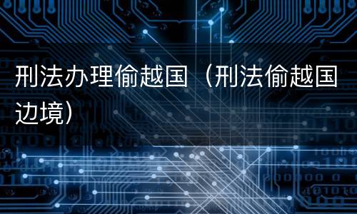 刑法办理偷越国（刑法偷越国边境）