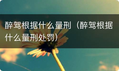 醉驾根据什么量刑（醉驾根据什么量刑处罚）