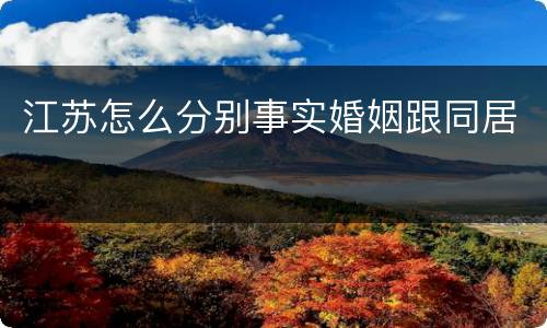 江苏怎么分别事实婚姻跟同居