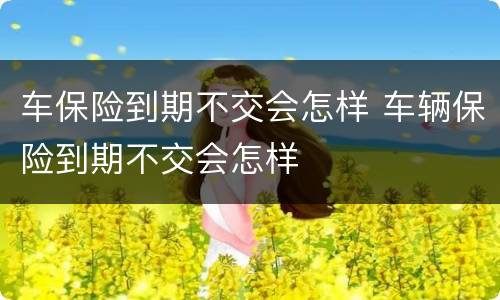 车保险到期不交会怎样 车辆保险到期不交会怎样