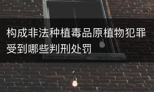 构成非法种植毒品原植物犯罪受到哪些判刑处罚
