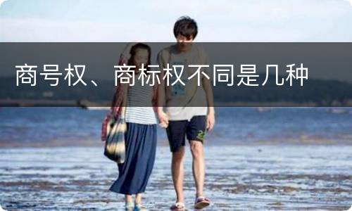商号权、商标权不同是几种