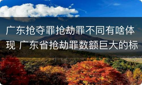 广东抢夺罪抢劫罪不同有啥体现 广东省抢劫罪数额巨大的标准
