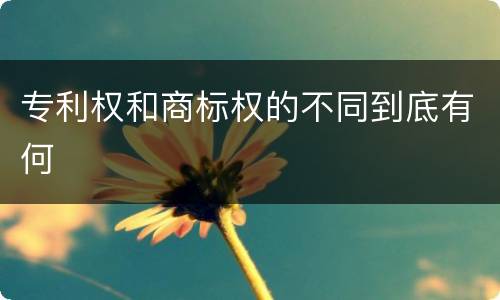 专利权和商标权的不同到底有何