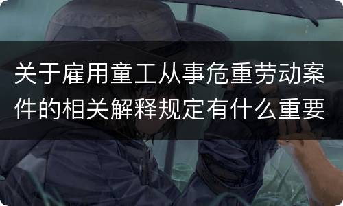 关于雇用童工从事危重劳动案件的相关解释规定有什么重要内容
