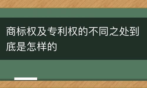 商标权及专利权的不同之处到底是怎样的