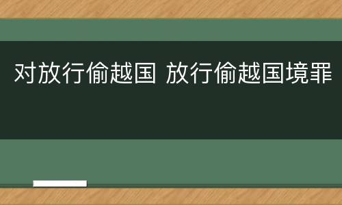 对放行偷越国 放行偷越国境罪