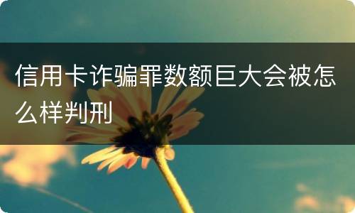 信用卡诈骗罪数额巨大会被怎么样判刑