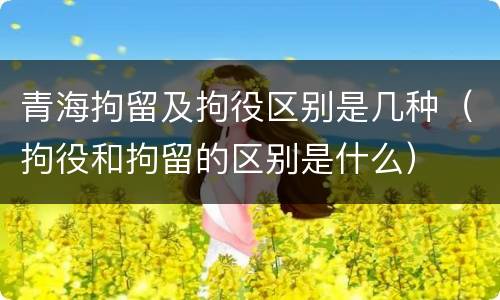 青海拘留及拘役区别是几种（拘役和拘留的区别是什么）