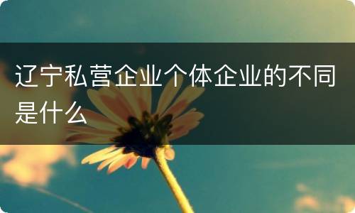 辽宁私营企业个体企业的不同是什么