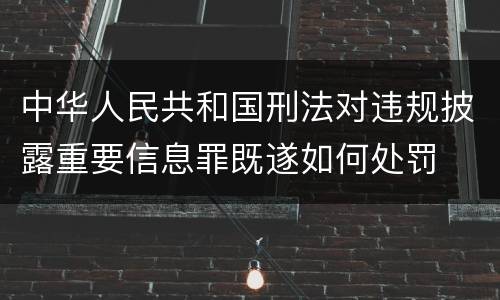 中华人民共和国刑法对违规披露重要信息罪既遂如何处罚